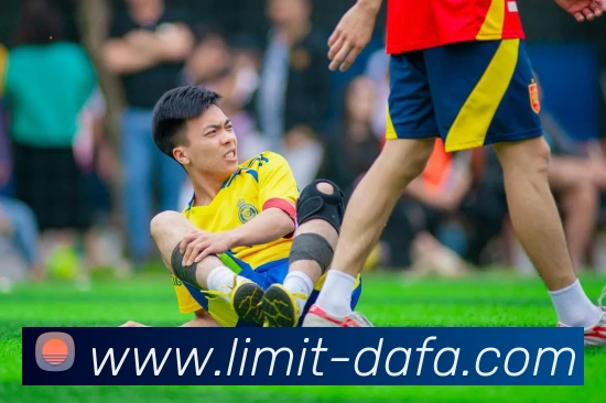 大发官网平台生态图