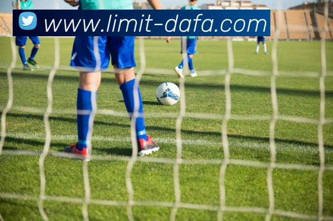 大发官网APP 封面图